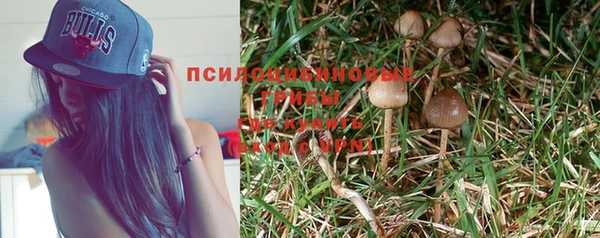 таблы Покачи