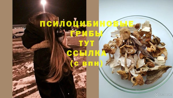 MESCALINE Богородицк