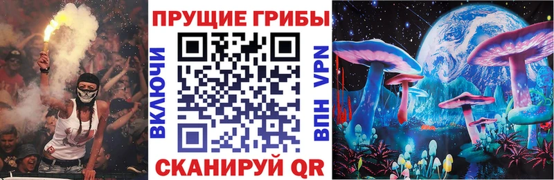 Псилоцибиновые грибы мицелий  Ессентуки 