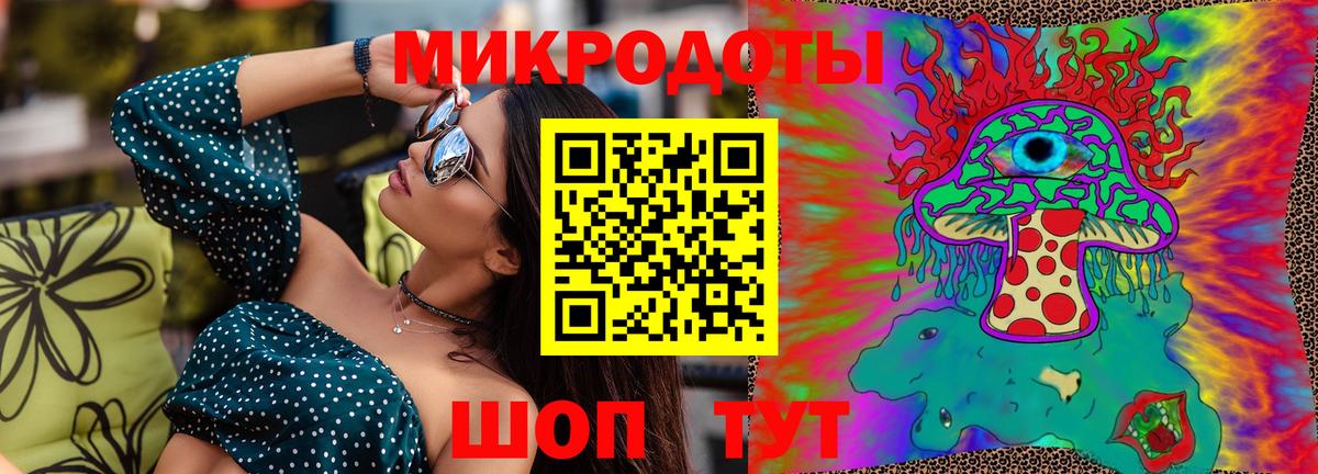 Галлюциногенные грибы Psilocybe Ессентуки