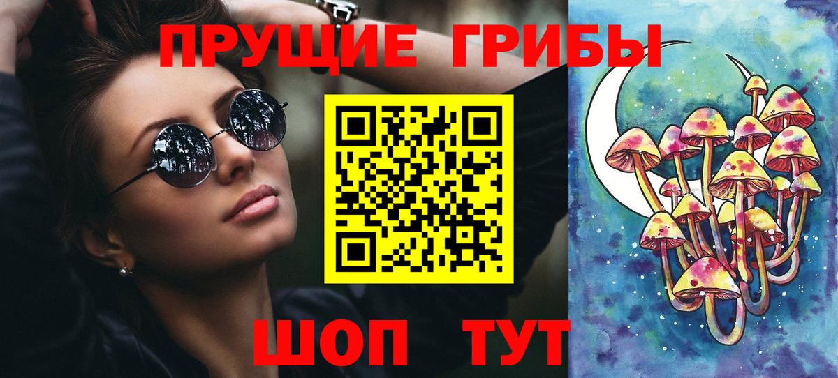 Псилоцибиновые грибы GOLDEN TEACHER  Ессентуки 