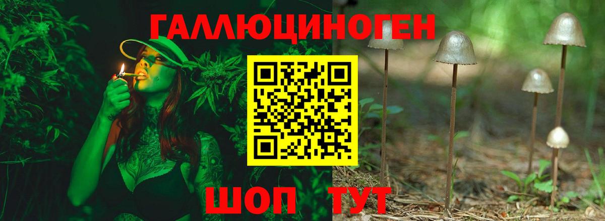 Ессентуки  магазин продажи наркотиков  Вход с VPN  Галлюциногенные грибы ЛСД 