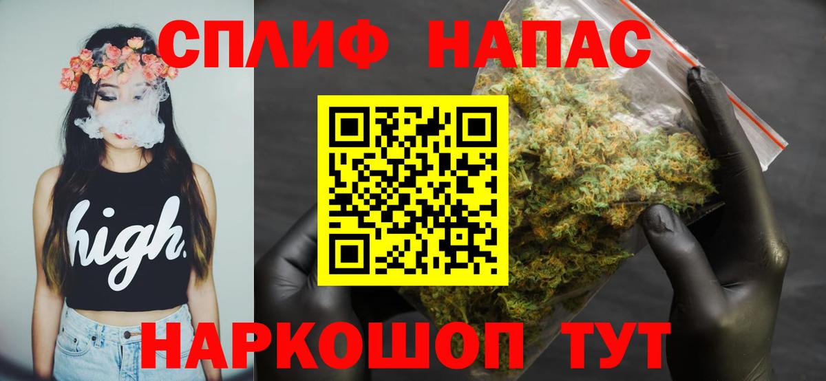 Каннабис конопля Ессентуки